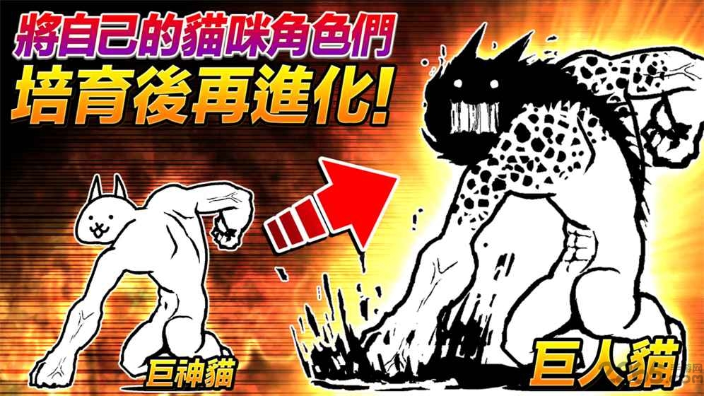 猫咪大战争双人版最新版