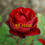 九十九朵玫瑰游戏(Ninety-nine roses)