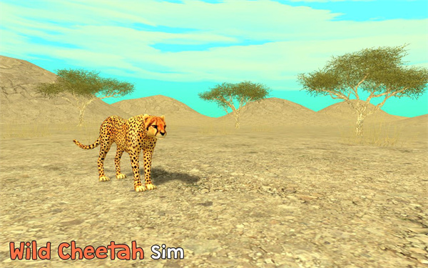 野生猎豹模拟器(Wild Cheetah Sim)