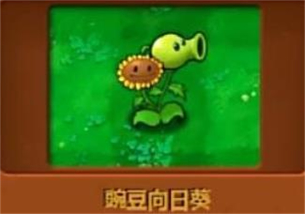 植物大战僵尸杂交版直装版