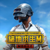 地铁逃生冰封雪地(PUBG MOBILE)游戏最新版