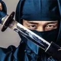 忍者信条刺客战士(Ninja Assassin Warrior)安装下载免费正版